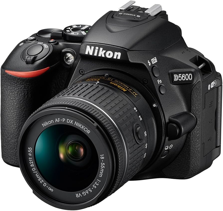 Amazon.com : Nikon D5600 24.2MP DX-Format Digital SLR Camera with