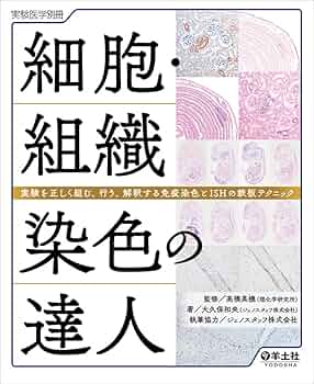 71c+Z8OwG5L._AC_UF350,