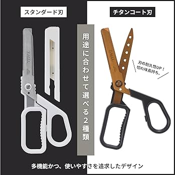 Amazon.co.jp: 【2026年文房具屋さん大賞入賞】 レイメイ藤井 ハサミ