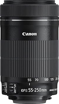 Amazon.com : Canon EF-S 55-250mm f/4-5.6 is STM Telephoto Zoom