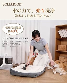 Amazon | 【常温式×17000Pa超強吸引力】SOLEMOOD カーペットクリーナー