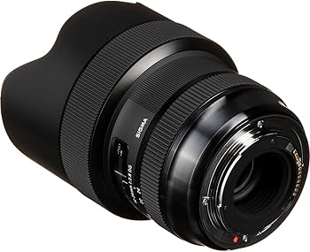 Amazon.co.jp: シグマ(Sigma) レンズ 14-24mm F2.8 DG HSM Canon