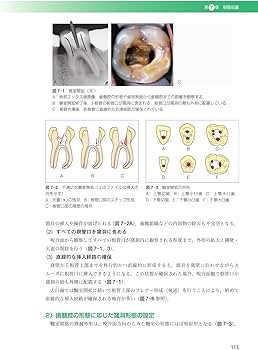 71dhDWL+hkL._AC_UF350,