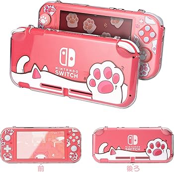 71e8VJjCufL._AC_UF350,