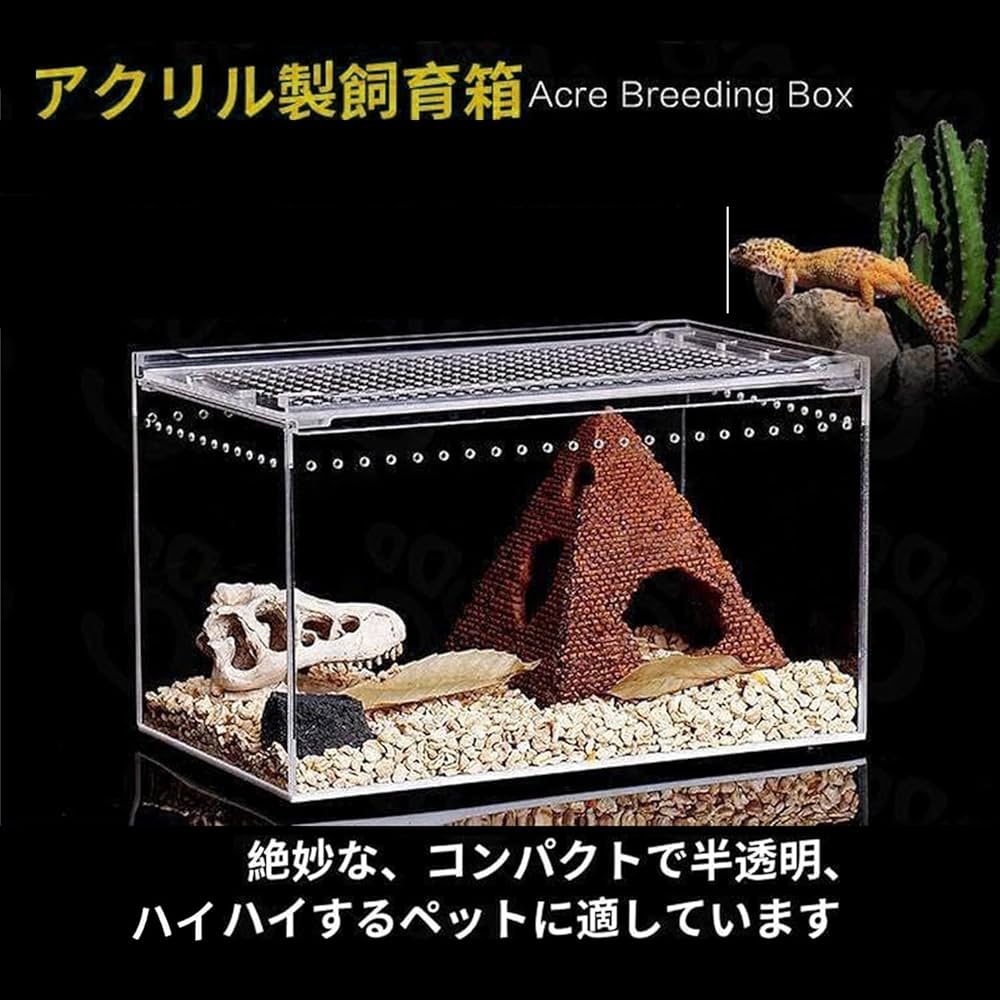 小型爬虫類・両生類 飼育セット (レプタイルボックス、暖突S、ピタリ