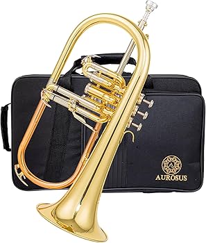 Amazon.com: SFH-8336 flugelhorn with 3rd valve trigger rose brass