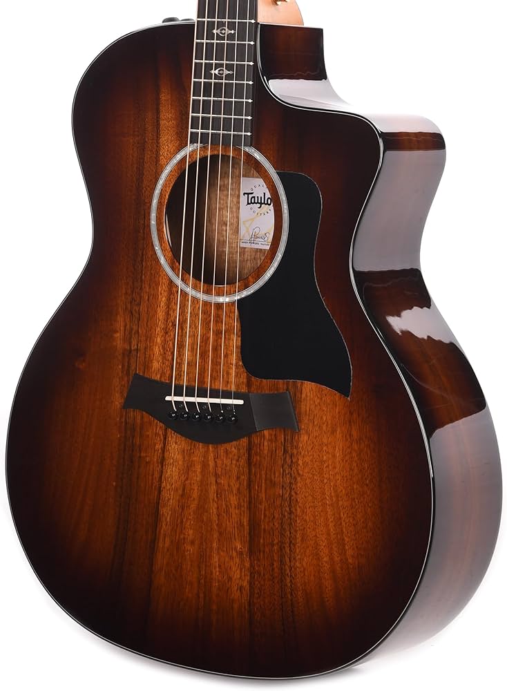 Amazon.com: Taylor Taylor 224ce-K DLX Grand Auditorium Acoustic