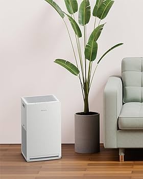 71e0HYKYPJL._AC_UF350,