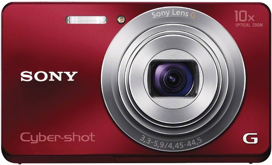 Amazon.com : Sony Cyber-shot DSC-W690 16.1 MP Digital Camera with
