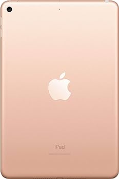 Amazon.com : Apple iPad Mini, 5th Generation (Wi-Fi, 64GB) - Gold