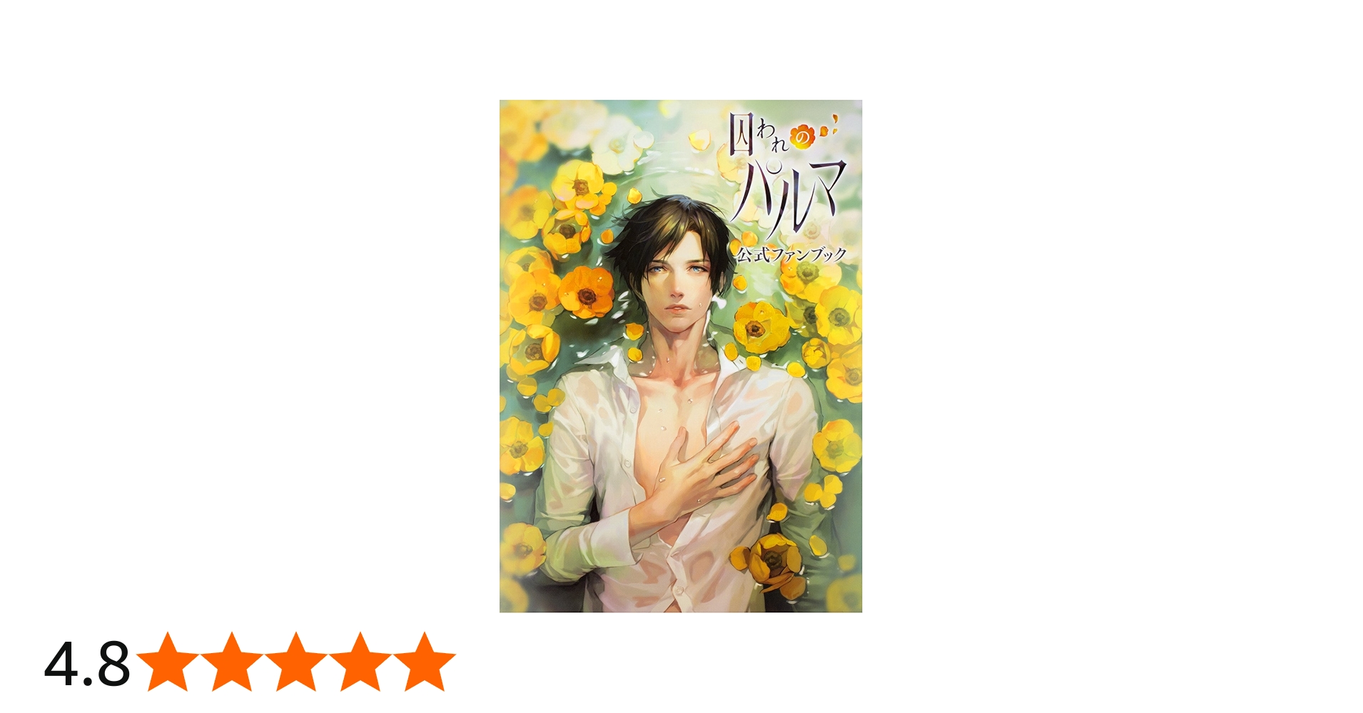 Amazon.co.jp: 囚われのパルマ 公式ファンブック : 本