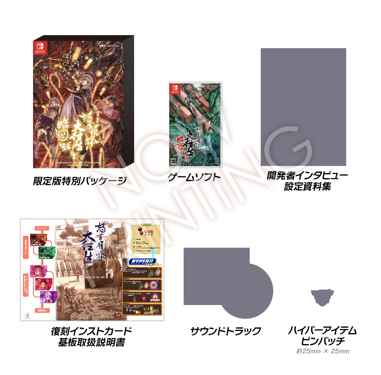 Amazon.co.jp: 怒首領蜂大往生 臨廻転生 限定版【同梱物】冊子