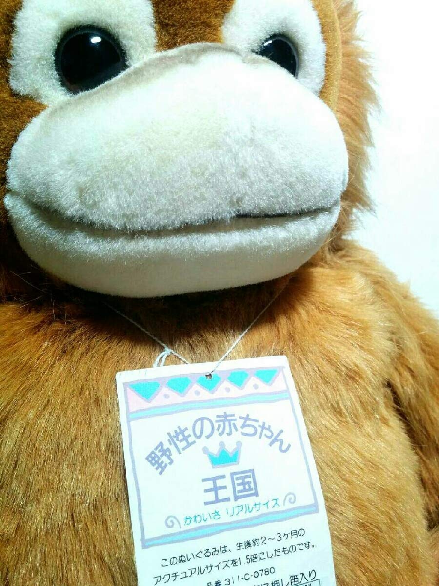 Amazon.co.jp: 貴重オランウータン 野性の赤ちゃん 王国 L ナカジマ