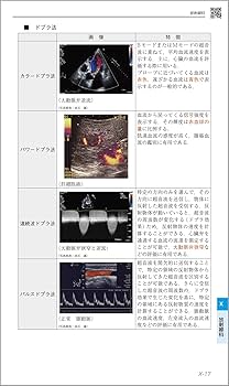 CBT・医師国家試験のためのレビューブック マイナー 2022