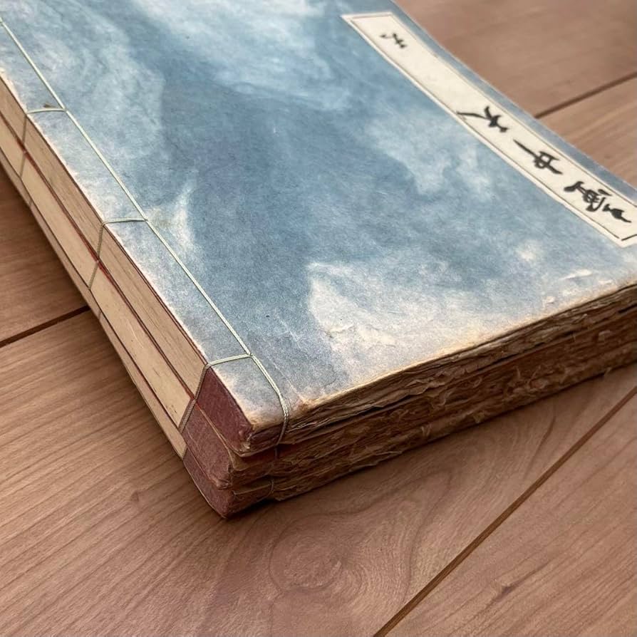 Amazon.co.jp: 壺中天 華道山村御流 大和円照寺 山村御流 花伝書