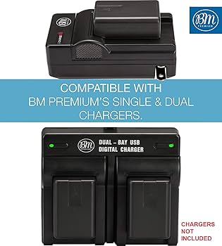 Amazon.com: BM Premium VW-VBK180 Battery for Panasonic HC-V10 HC