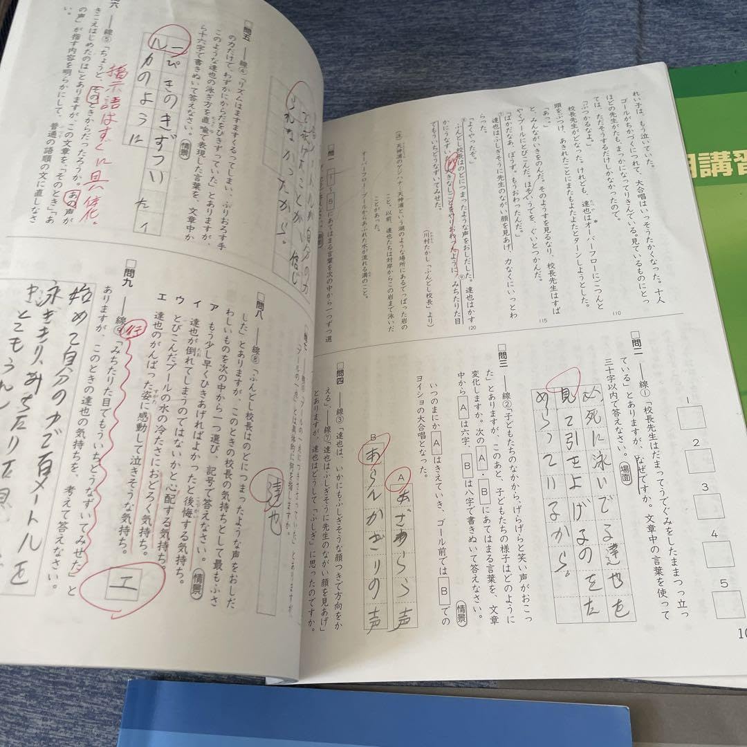 Amazon.co.jp: 最新早稲田アカデミー 小6春期講習会テキスト 算数 国語