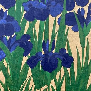 Amazon.co.jp: 掛け軸 尾形光琳筆 国宝 燕子花之図 菖蒲 アート