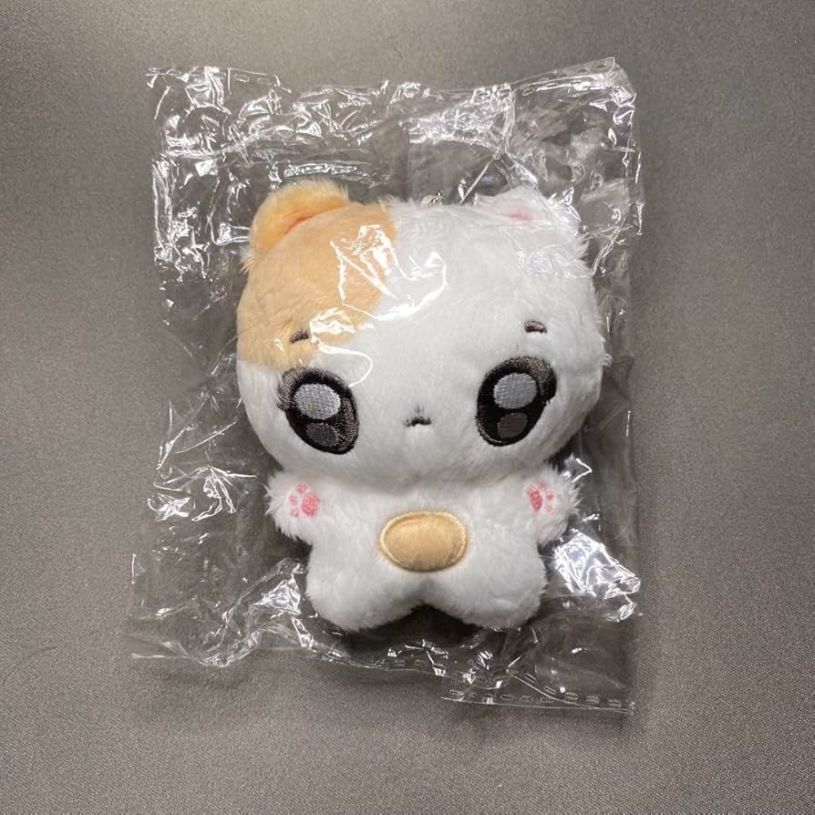 Amazon.co.jp: enhpyen ヒスン ぬいぐるみ 10cm マスター : おもちゃ