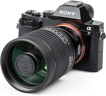 Amazon.co.jp: Kenko 望遠レンズ ミラーレンズ 400mm F8 NII ソニーE用