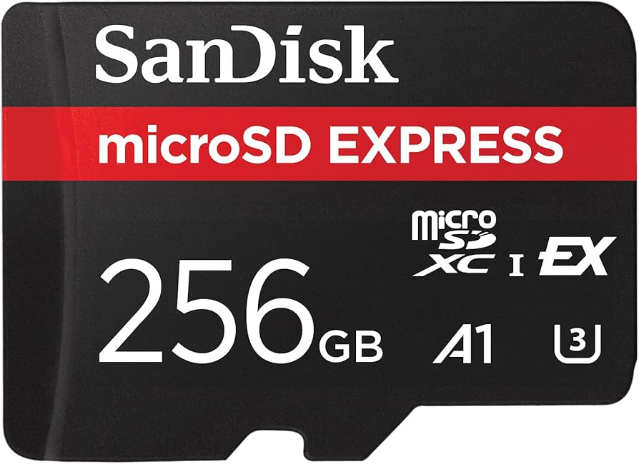 Amazon.com: SanDisk 256GB microSD Express Card - Works with