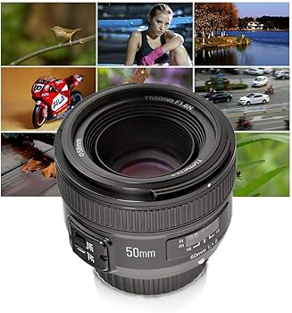 Amazon.co.jp: Yongnuo ヨンヌオ YN EF 50mm f/1.8 AF 単焦点 レンズ
