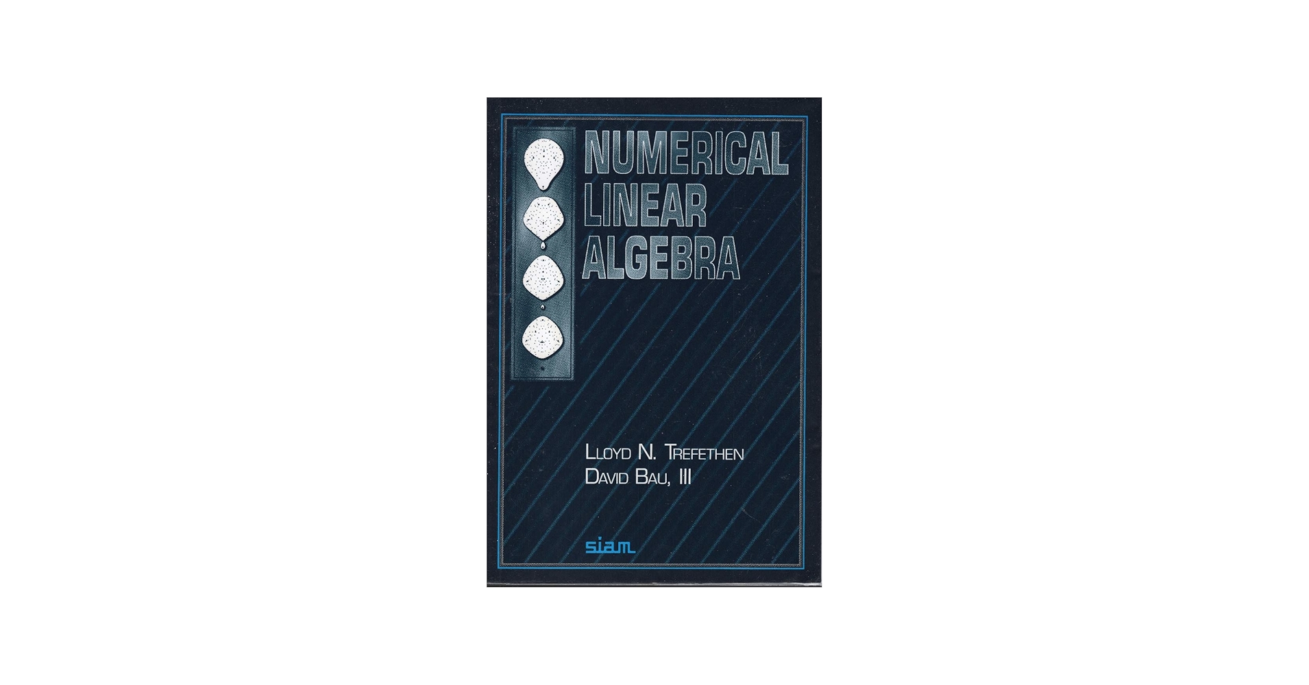 Numerical Linear Algebra: Lloyd N. Trefethen, David Bau III