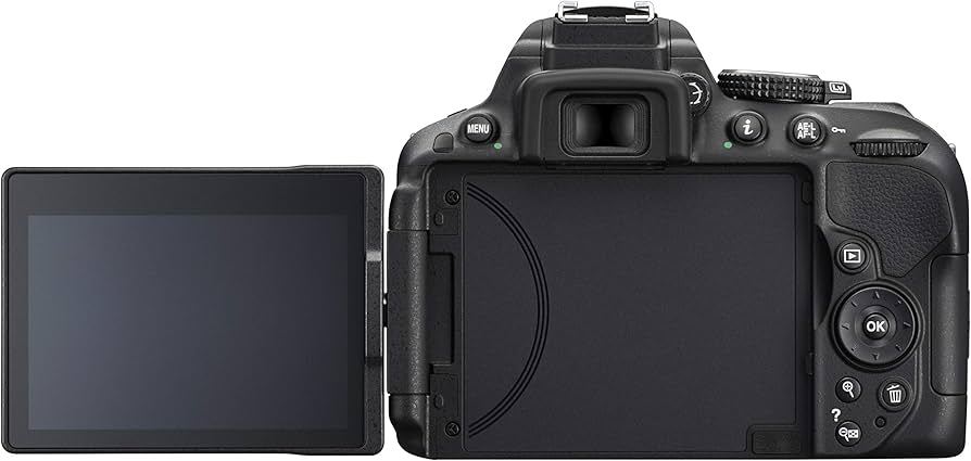Amazon.com : Nikon D5300 24.2 MP CMOS Digital SLR Camera with