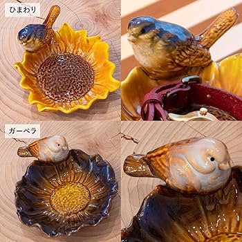 71heo4qKpcL._AC_UF350,