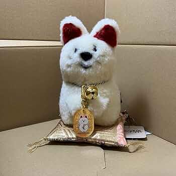 71h1+XIzlWL._AC_UF350,