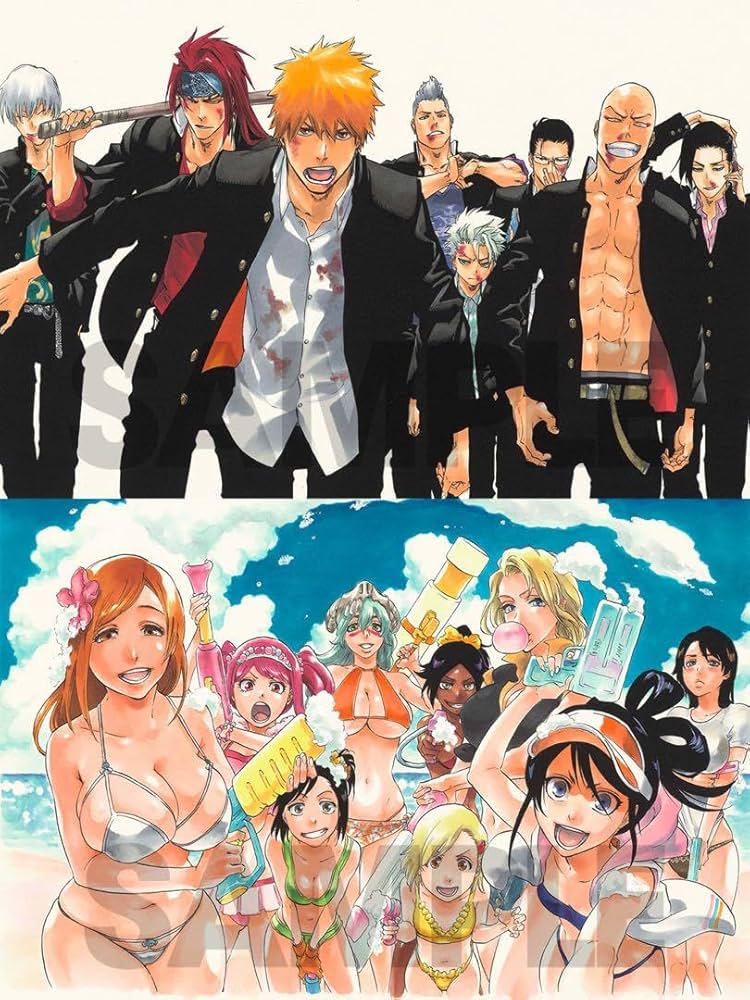 『BLEACH』額装高精細複製原画 No.5 <BLEACH EX.> BLEACH』額装高精細複製原画 No.5 <BLEACH EX.> BLEACH EX. 額装高精細