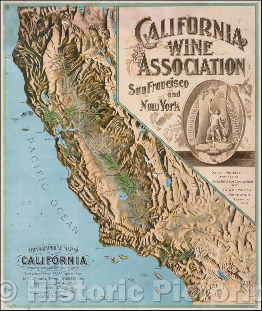 Amazon｜歴史的地図 | カリフォルニア州の地形地図 緑色のブドウ畑地域
