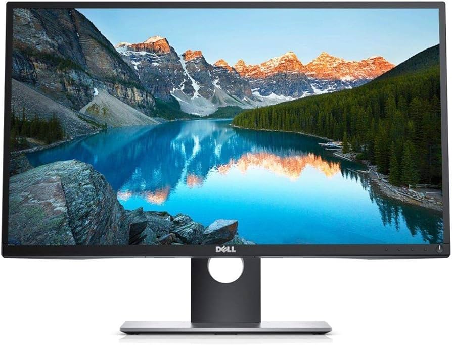 Amazon.com: DELL P2417H-R Professional 23.8