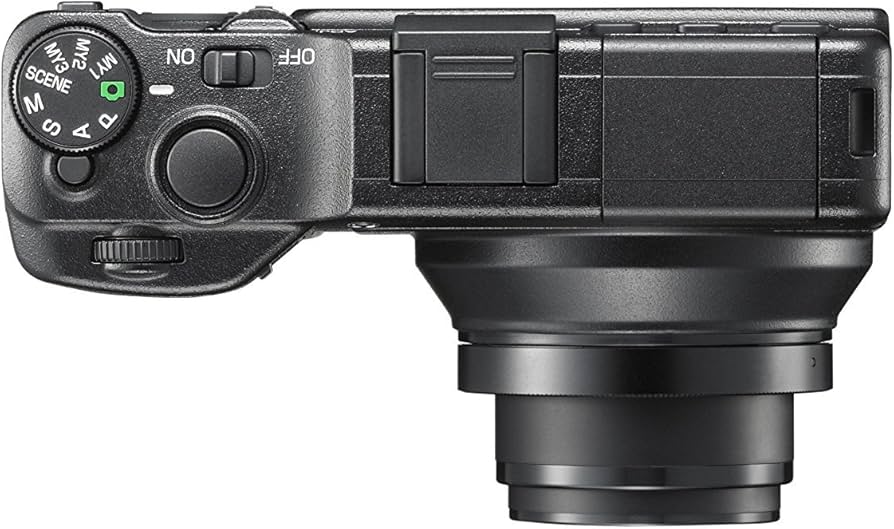 Amazon.com : Ricoh GXR Interchangeable Unit Digital Camera System
