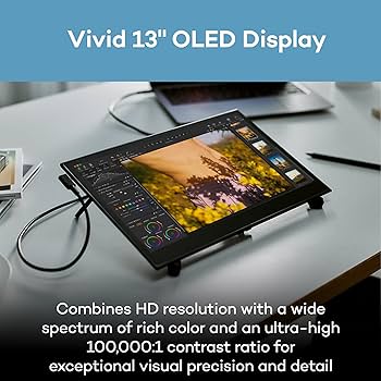 Amazon.com : Wacom Movink Drawing Tablet with Screen, 13.3