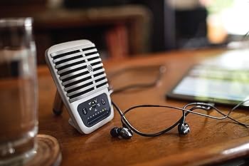 Amazon.com: Shure MV51 Digital Condenser Microphone : Musical