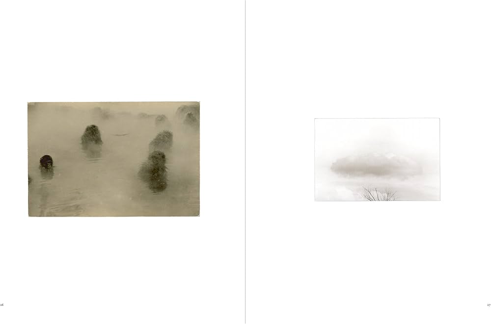 小さきもの、沈黙の中で -Small Things in Silence | 山本 昌男 |本