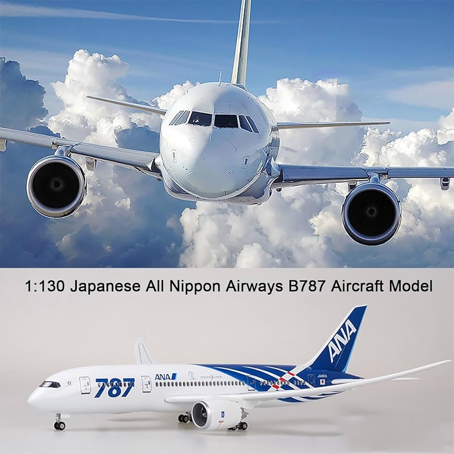 Amazon.co.jp: 16.9 インチ 1:130 スケールモデル飛行機 ANA B787