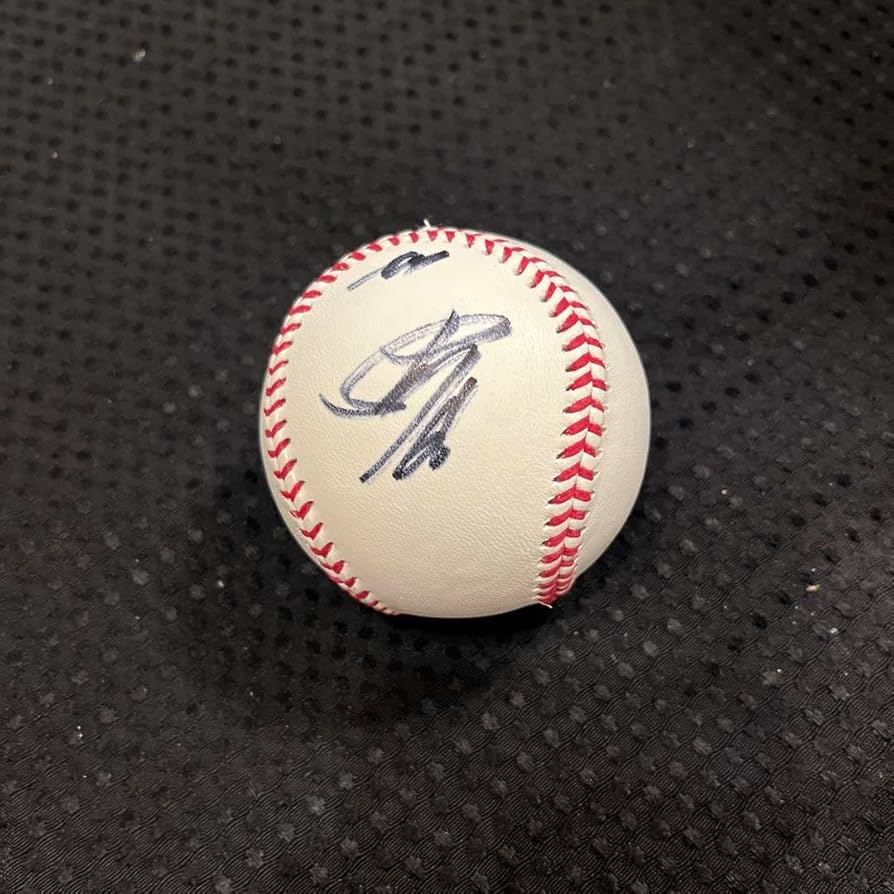 Amazon.co.jp: 北海道ファイターズ万波中正66直筆サインボール