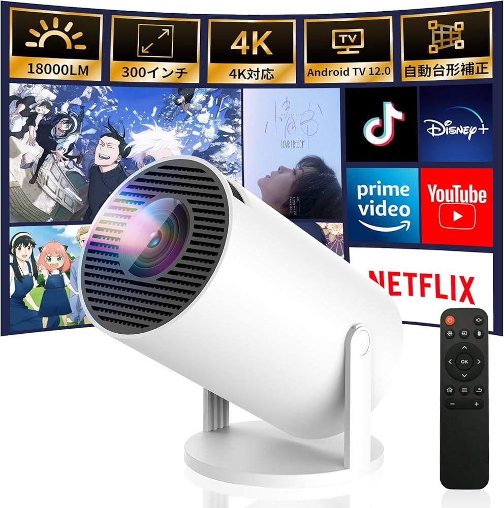 Wii 画像分全て(*ˊ˘ˋ*) 人気のプロジェクターにつなげてできます Wii