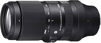 Amazon.co.jp: シグマ(Sigma) レンズ 100-400mm F5-6.3 DG DN Leica