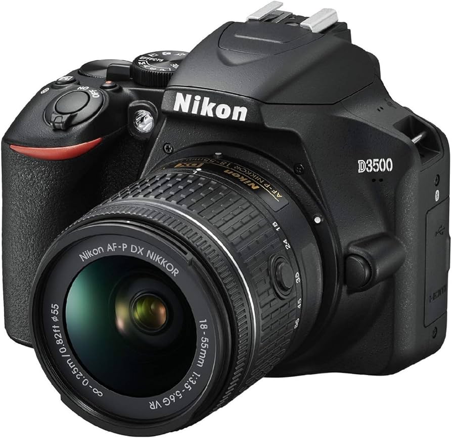 Amazon.com : Nikon D3500 W/ AF-P DX NIKKOR 18-55mm f/3.5-5.6G VR
