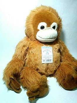 Amazon.co.jp: 貴重オランウータン 野性の赤ちゃん 王国 L ナカジマ