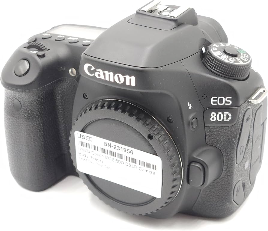 Amazon.com : Canon Digital SLR Camera Body [EOS 80D] with 24.2