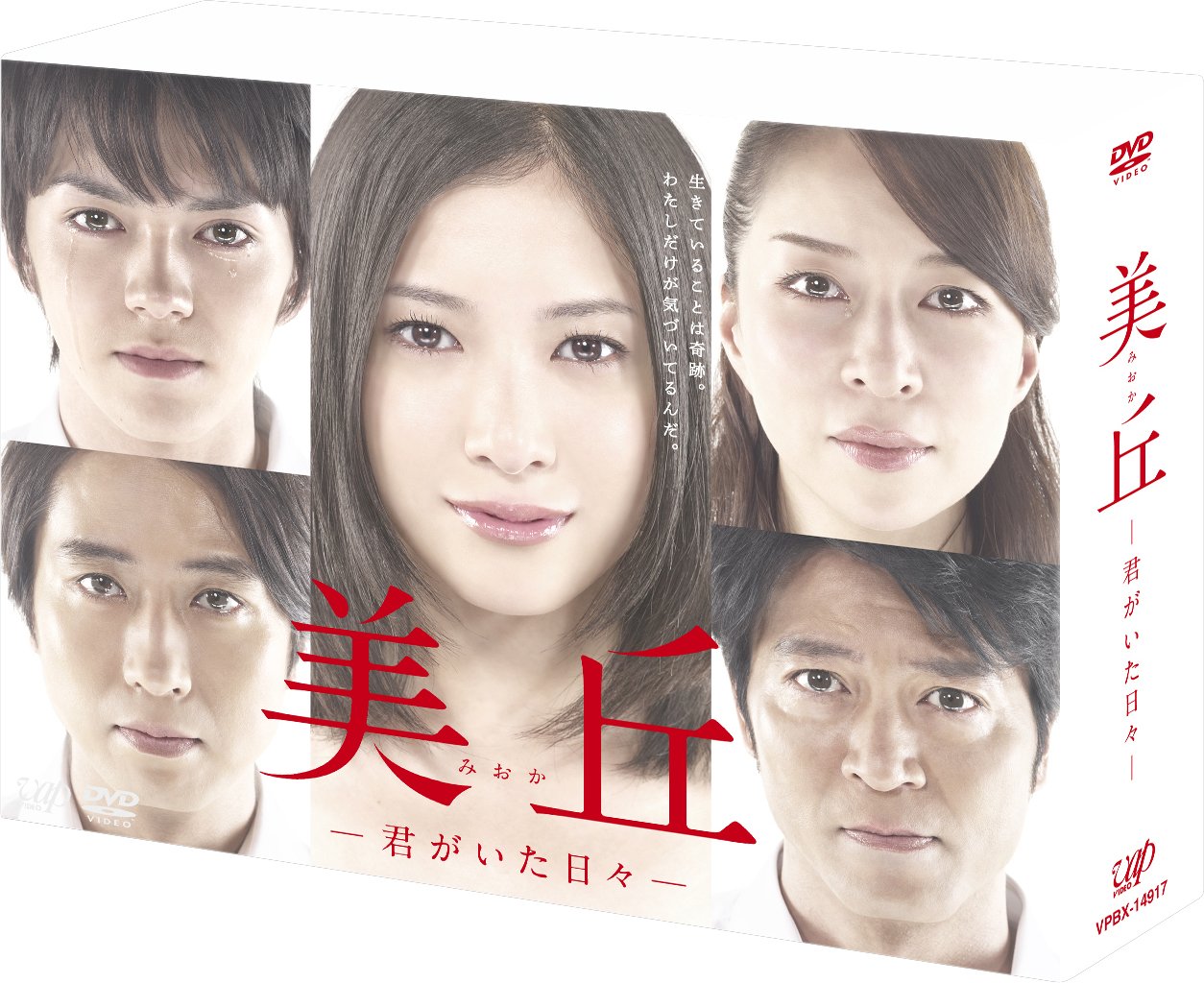 Amazon.co.jp: 美丘―君がいた日々― DVD-BOX : 吉高由里子, 林遣都