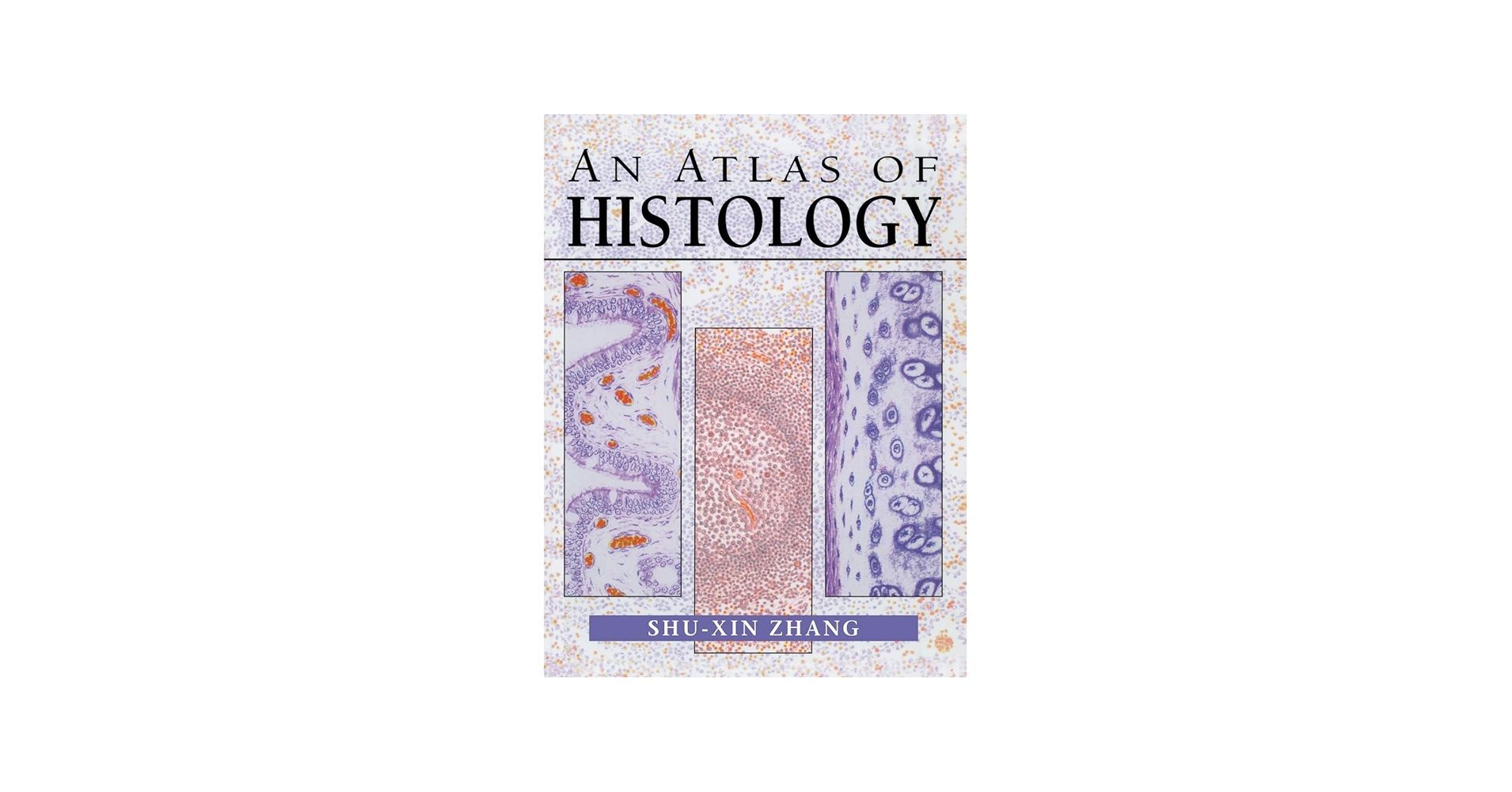 An Atlas of Histology: 9780387949543: Medicine & Health Science