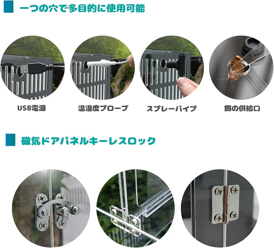 Amazon | 40cm30cm30cm爬虫ケージ 中間仕切り付き2匹のペットを隔離