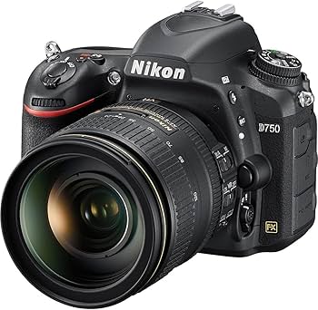 Amazon.com : Nikon D750 24.3MP DSLR Digital Camera with 24-120mm