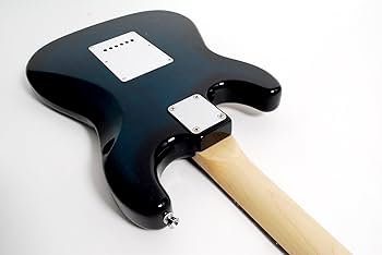 Amazon | Photogenic フォトジェニック エレキギター STタイプ ブルー