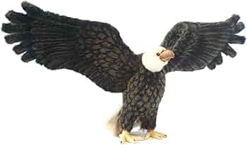 71kbgNGQbsL._AC_UF350,